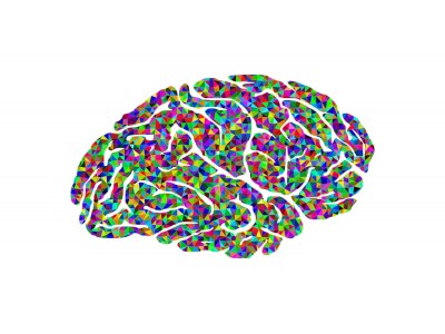Phenylpiracetam Hydrazide: Properties, Effects, and Application Features