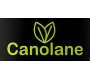 Canolane