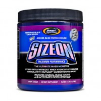 Gaspari Nutrition Size On (330 g)