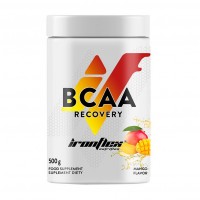 IronFlex BCAA Recovery (500 g)