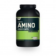 Optimum Nutrition Amino 2222 (300 caps)