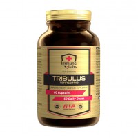 Tribulus Terrestris (60 caps)