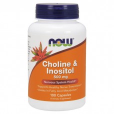 NOW Choline & Inositol 500 mg (100 caps)