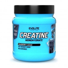 Evolite Nutrition Creatine Monohydrate (500 g, orange)