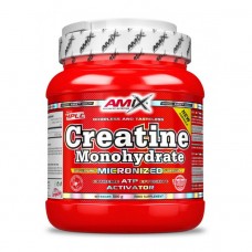 AMIX Creatine Monohydrate (500 g, unflavored)