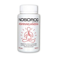 NOSOROG Ashwagandha 500 mg (60 caps)