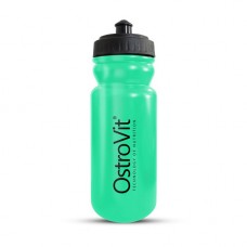 OstroVit Waterbottle (500 ml, mint)