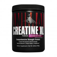 Universal Creatine XL (279 g)