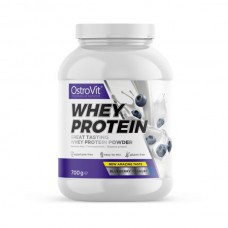 OstroVit Whey Protein (700 g, blueberry yoghurt)