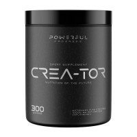 Powerful Progress Crea-Tor Micronized (300 g)