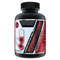 Kingsguard from Olympus Labs