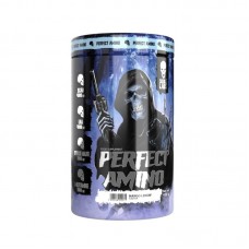 Skull Labs Perfect Amino 30 serv. 450 g